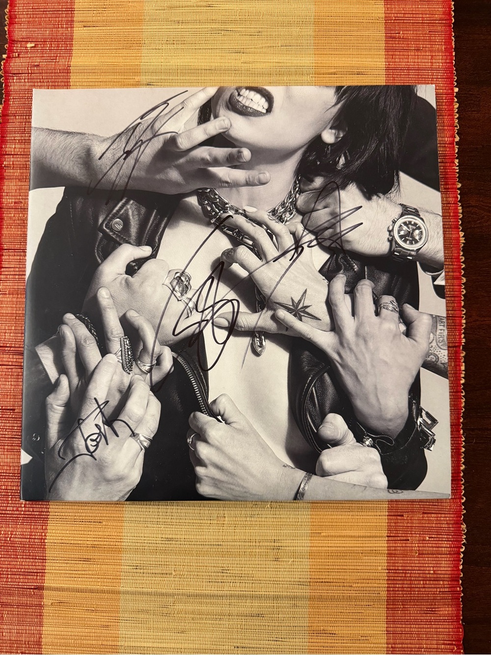 Autographed Halestorm Vicious records. 2 albums, 4 sides.